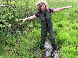  De droogte heeft de afgelopen jaren flink toegeslagen in de Brabantse natuur. 