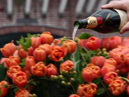 Guus Meeuwis heeft eigen tulp in Keukenhof