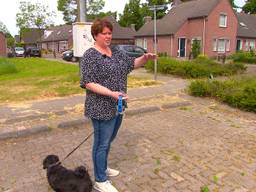 Hondenbaasjes in wijk Deurne-Zeilberg bezorgd om vele grasaren