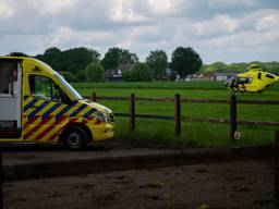 Vrouw zwaargewond na val van paard in Deurne
