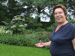 Zeven Brabantse tuinpareltjes waren even open voor de echte tuinliefhebbers