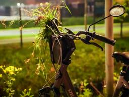 Fietser rijdt kanaal in, hulpverleners massaal opgetrommeld hem te redden