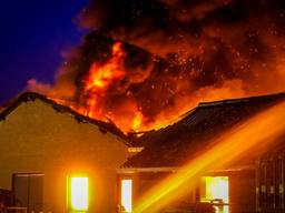 Duizenden kippen overleden bij brand in Vessem