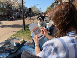 Lekker potje bingo vanaf de oprit of in de voortuin