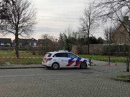 Vigo werd op nieuwjaarsdag bewusteloos gevonden in het parkje (foto: Ferenc Triki)