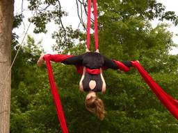 Anne traint aerial silk in een boom vlakbij huis.  