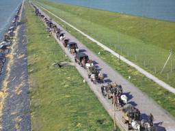 Terugtrekkende Duitse troepen over de Afsluitdijk mei/juni 1945 (foto: collectie Johan van Doorn).