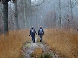 Vandaag was het al kil en grijs in Budel. Foto: Ben Saanen.