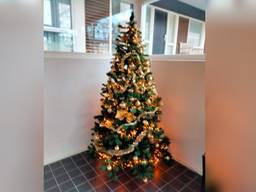 De gestolen kerstboom