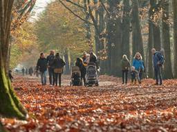 Drukte in het Mastbos in Breda (foto: Tom van der Put/SQ Vision) 