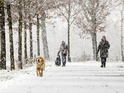 Wandelaars laten de hond uit tijdens een hevige sneeuwbui in Geldrop (Foto: ANP).