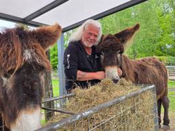 Ezels stelen de show in ‘soap’ over opvang, fans rijden uren om te kijken