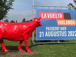 De rode stier in Dinteloord hoort bij de Vuelta