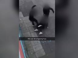 https://api.omroepbrabant.nl/img/f/$width$/$height$/0.52/0.37/bWVkaWEvcHJvZC80NTcwMzU0LmpwZz9zdj0yMDE5LTA3LTA3JnN0PTIwMjAtMDEtMDFUMDAlM0EwMCUzQTAwWiZzZT0yMDQwLTAxLTAxVDAwJTNBMDAlM0EwMFomc3I9YiZzcD1yJnNpZz1ERXFzeTVITSUyRkNINXpjMUZSNDAlMkJ5elQ4JTJCVyUyRlR0elZqVnM2ellxMGh2MzglM0Q=