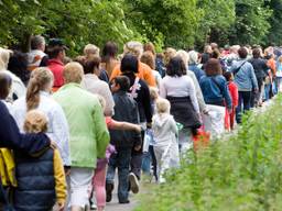 Achter elkaar in de avondvierdaagse. (archieffoto: ANP).