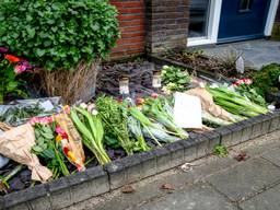 https://api.omroepbrabant.nl/img/f/$width$/$height$/0.52/0.47/bWVkaWEvcHJvZC80MjQ0NjQzLmpwZz9zdj0yMDE5LTA3LTA3JnN0PTIwMjAtMDEtMDFUMDAlM0EwMCUzQTAwWiZzZT0yMDQwLTAxLTAxVDAwJTNBMDAlM0EwMFomc3I9YiZzcD1yJnNpZz1nY0dPcFBHWjBraUtaZlY1bXZaSSUyQmUwN2Z5eTRlUmNvRHZ6QjYyaGtxeTQlM0Q=