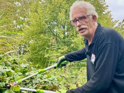 Klimaatbos dreigt te verdwijnen, Sjef zoekt helpers om het te behouden