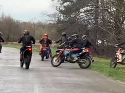Ravage in bos door racende motorcrossers, boswachter zet achtervolging in