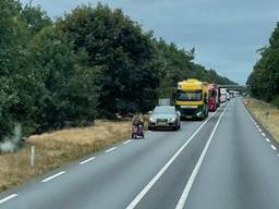 Foto: Fred Plateijn.