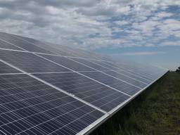 Cranendonck krijgt er nog 49 hectare aan zonnepanelen bij.