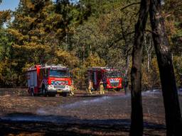 De brandweer maakte het bosgebied bij Waalre zaterdag extra goed nat (foto: SQ Vision). 