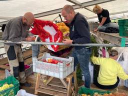 Zo'n tweeënhalf miljoen dahlia's worden de komende dagen in Valkenswaard op corsowagens geprikt