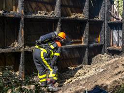 Foto's: Marcel van Dorst/SQ Vision Mediaprodukties