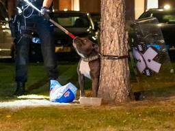 Hond gedumpt in Eindhoven met bakje water en zak hondenbrokken