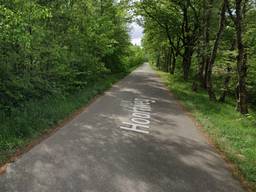 De Hoortweg in Budel-Dorplein (foto: Google Maps)
