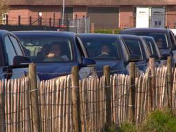 Het is weer druk bij de aardbeien drive-in in Uden