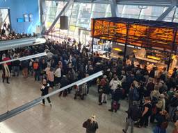 Drukte in Eindhoven Airport (foto: Noël van Hooft).