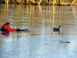 De redder en eend (foto: Erik Haverhals/SQ Vision).