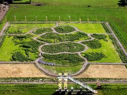 Levensgrote Van Gogh in weiland Etten-Leur begint al vorm te krijgen