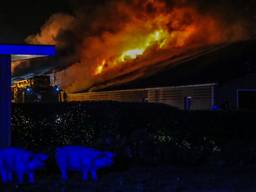 De vlammen grijpen om zich heen bij de stalbrand (foto: Harrie Grijseels/SQ Vision).
