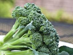 'Brocco mi, brocco you' (archieffoto: Liz West/Flickr)