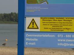 Warm weer lokt mensen toch het water in, ondanks blauwalg in zwemplas