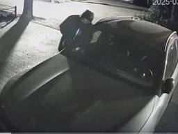 WEB_POLITIE_DIEFSTAL.transfer