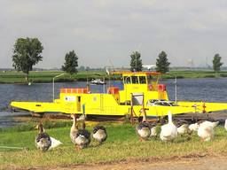 https://api.omroepbrabant.nl/img/f/$width$/$height$/0.54/0.53/bWVkaWEvcHJvZC8zMDUwNjUzLmpwZz9zdj0yMDE5LTA3LTA3JnN0PTIwMjAtMDEtMDFUMDAlM0EwMCUzQTAwWiZzZT0yMDQwLTAxLTAxVDAwJTNBMDAlM0EwMFomc3I9YiZzcD1yJnNpZz1jbkFlM0RseVNnQ2xXdlQyaFglMkZ0aEQzJTJCTWxwaDFMdUZHdmlNbGZ3Z05PVSUzRA==