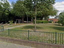 Basisschool 't Hout (Foto: Google Maps).