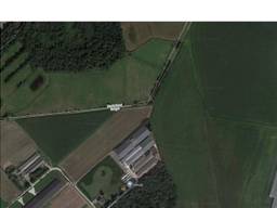 Het bedrijf Meermar, net over de grens in Hoogstraten (Foto: Google).