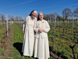  Zuster Maria Magdalena (rechts) op de wijngaard (foto: Noël van Hooft)