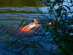 Een omstander redde de hond uit het water (foto: Dave Hendriks/SQ Vision).