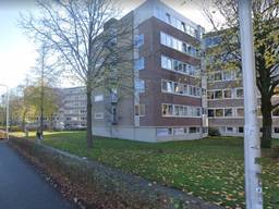 De flats aan de Professor Verbernelaan (foto: Google Maps).