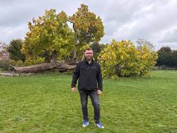 Deze versleten bomen hoeven niet om: 'Leerlingen kunnen erop zitten'