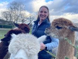Angelique Wouters uit Oosterhout heeft bijna vijfhonderd oude kerstbomen van tuincentra gekregen (foto: Imke van de Laar).