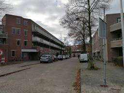 De Rentmeesterlaan in Tilburg (foto: Ista van Galen).