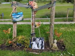 De boom van Astrid Hornikx uit Goirle bij het Nationaal Monument in Vijfhuizen (foto: Ferenc Triki).