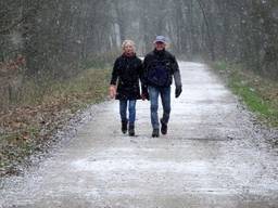 De hond uitlaten bij een beetje winters weer (archieffoto: Ben Saanen).