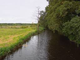 https://api.omroepbrabant.nl/img/f/$width$/$height$/0.56/0.45/bWVkaWEvcHJvZC80MzQ5MjY3LmpwZz9zdj0yMDE5LTA3LTA3JnN0PTIwMjAtMDEtMDFUMDAlM0EwMCUzQTAwWiZzZT0yMDQwLTAxLTAxVDAwJTNBMDAlM0EwMFomc3I9YiZzcD1yJnNpZz1FcTdKTGlxZzFKMXJHSTJ6UjVvMXN4Rm9kSTd1cGQlMkJKYVFDdWhsbHBRQVElM0Q=