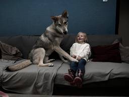 Selena en haar wolfhond Mateo die nooit van haar zijde wijkt (Foto: Marielle van Uitert)